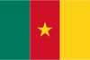 Cameroon Flag